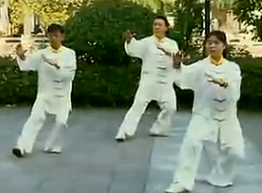 杨式85式太极拳演练视频