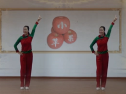 応子广场舞小苹果正面背面演示教学 韩国女子组合T-ara《Little Apple》韩文版《小苹果》