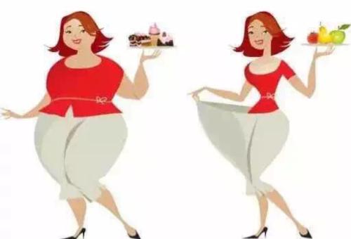 节食减肥的误区 来看看为什么越减越胖!
